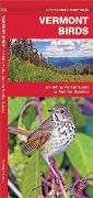 Vermont Birds: An Introduction to Familiar Species