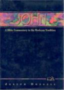 John: A Commentary for Bible Students