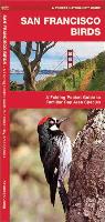 San Francisco Birds: An Introduction to Familiar Species