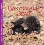 The Adventures of Baby Bear