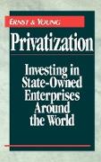 Privatization