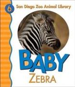 Baby Zebra