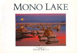 Mono Lake: Twenty Postcards