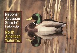 National Audubon Society Pocket Guide: North American Waterfowl