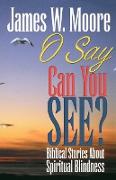 O Say Can You See?: Biblical Stories about Spiritual Blindness