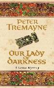 Our Lady of Darkness (Sister Fidelma Mysteries Book 10)