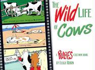 Wild Life of Cows