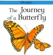 The Journey of a Butterfly