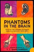 Phantoms in the Brain