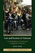 Law and Society in Vietnam