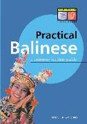 Practical Balinese: A Communication Guide