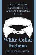 White Collar Fictions: Class and Social Representation in American Literature, 1885-1925