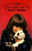 Proper Care Dwarf Rabbits