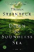 Down to a Soundless Sea