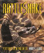 Rattlesnake: Portrait of a Predator