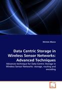 Data Centric Storage in Wireless Sensor Networks: Advanced Techniques