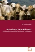Brucellosis in Ruminants