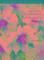 Painting Flowers and Plants