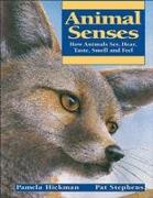 Animal Senses: How Animals See, Hear, Taste, Smell and Feel
