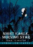 Night Eagle, Morning Star