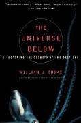 The Universe Below