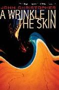 A Wrinkle in the Skin