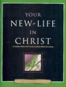 Your New Life in Christ