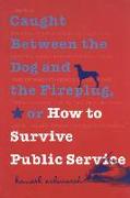 Caught Between the Dog and the Fireplug, or How to Survive Public Service