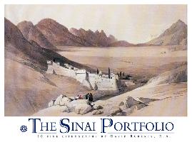 The Sinai Portfolio
