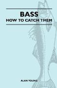 Bass - How to Catch Them