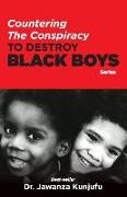 Countering the Conspiracy to Destroy Black Boys