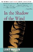 In the Shadow of the Wind