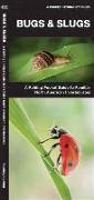 Bugs & Slugs: An Introduction to Familiar North American Invertebrates