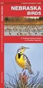Nebraska Birds: An Introduction to Familiar Species