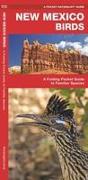 New Mexico Birds: A Folding Pocket Guide to Familiar Species