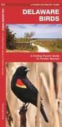 Delaware Birds: A Folding Pocket Guide to Familiar Species