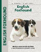 English Foxhound