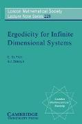 Ergodicity for Infinite Dimensional Systems