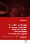Thrombin-abhängige Änderung der cAMP-Konzentration in Endothelzellen