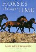 Horses through Time