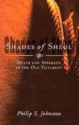 Shades of Sheol: Death and Afterlife in the Old Testament