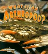 What Is an Arthropod?