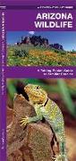 Arizona Wildlife: A Folding Pocket Guide to Familiar Species