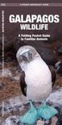 Galapagos Wildlife: An Introduction to Familiar Species