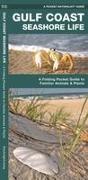 Gulf Coast Seashore Life: An Introduction to Familiar Plants and Animals