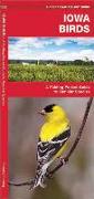 Iowa Birds: A Folding Pocket Guide to Familiar Species
