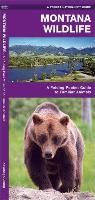 Montana Wildlife: A Folding Pocket Guide to Familiar Animals