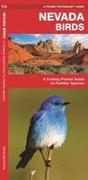 Nevada Birds: A Folding Pocket Guide to Familiar Species