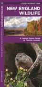 New England Wildlife: A Folding Pocket Guide to Familiar Animals