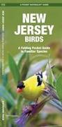 New Jersey Birds: A Folding Pocket Guide to Familiar Species